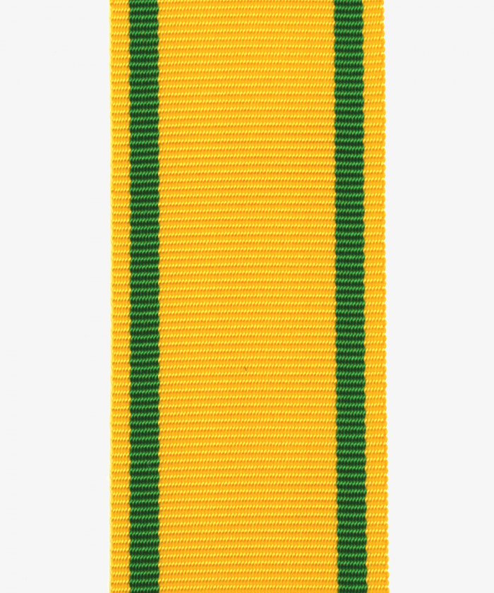 Baden Cross of Merit from the Zähringer Löwen (116)